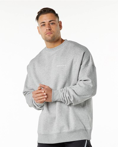 Alphalete Brushed Fleece Crewneck Maglia Grigie | 0493-XCUTM