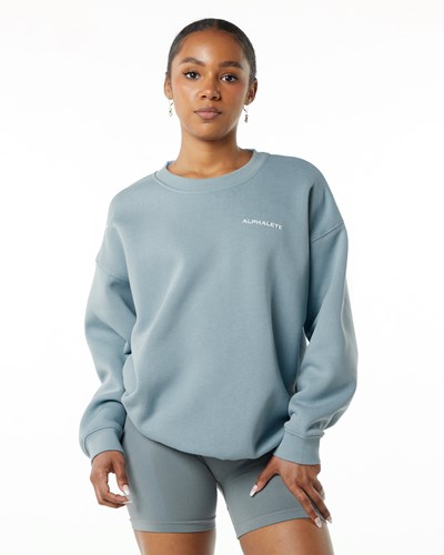 Alphalete Brushed Fleece Crewneck Maglia Blu | 3719-HAQFT