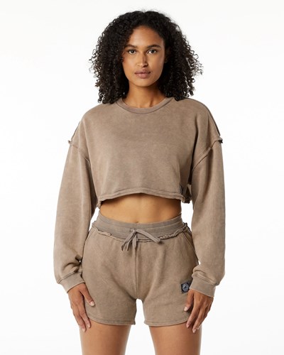 Alphalete Heavyweight Washed Terry Crop Pullover Smokey Quartz | 7950-GFCJP