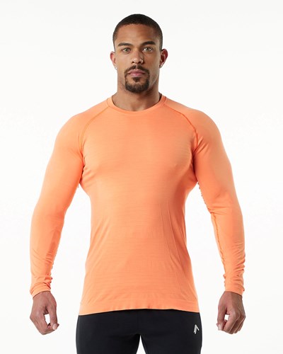 Alphalete High Performance Seamless Long Sleeve Tee Faded Day Tripper | 6342-HXYKM