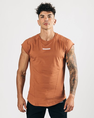 Alphalete High Performance Senza Maniche Tee Clay | 6042-XTRHI