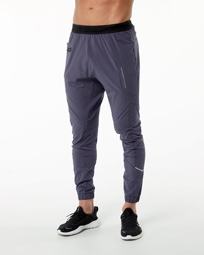 Alphalete Leggere 4-Way Stretch 29" Allenamento Pant Viola | 3102-LJCVO