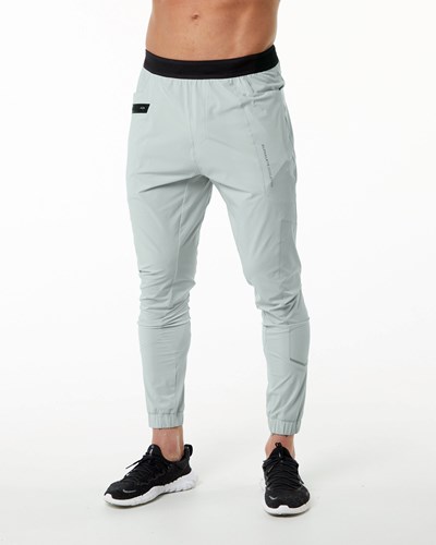 Alphalete Leggere 4-Way Stretch 29" Allenamento Pant Grigie | 9763-PVCYR