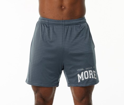 Alphalete Luxury Foderati 4-Way Stretch Mesh Corta Blu | 4976-XCVKF