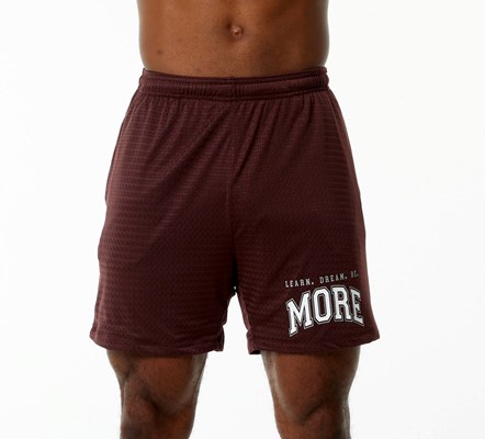 Alphalete Luxury Foderati 4-Way Stretch Mesh Corta Bordeaux | 7249-KNYUQ