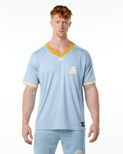 Alphalete Oversized Corta Sleeve Jersey Blu Chiaro | 5834-TKYUE