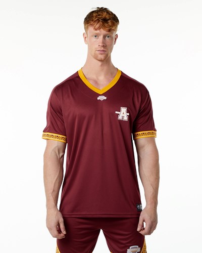 Alphalete Oversized Corta Sleeve Jersey Crimson | 5963-JKMIH