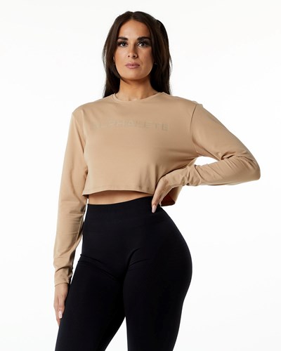 Alphalete Oversized Performance Long Sleeve Crop Taupe | 1568-YZLBK
