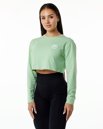 Alphalete Oversized Performance Long Sleeve Crop Pistachio | 2139-OFSVW