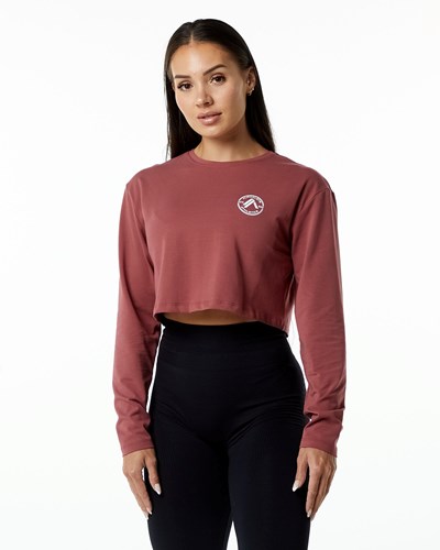 Alphalete Oversized Performance Long Sleeve Crop Gingerbread | 3506-GVKQW