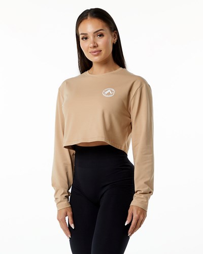 Alphalete Oversized Performance Long Sleeve Crop Taupe | 4173-PEBXN