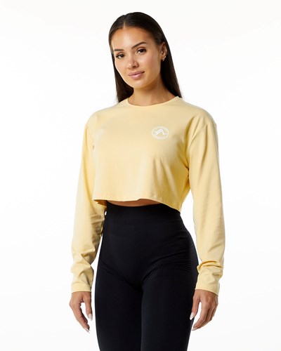 Alphalete Oversized Performance Long Sleeve Crop Daffodil | 8456-COQEN