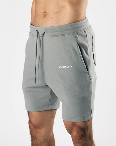 Alphalete Relaxed All-Purpose 8" Cotone Corta Grigie | 1604-NHQUI