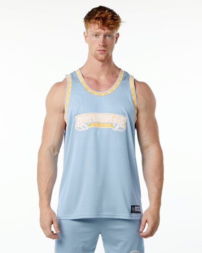 Alphalete Relaxed Fit Jersey Blu Chiaro | 4075-HVEZU