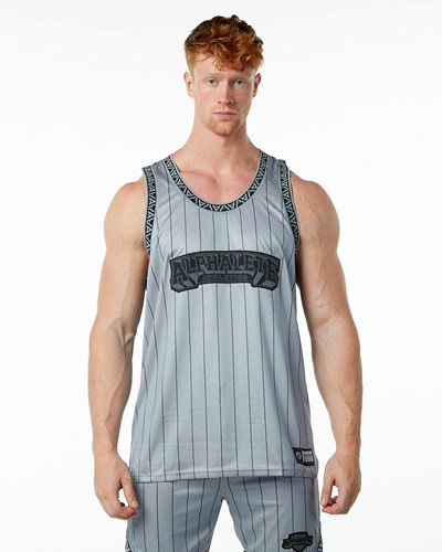 Alphalete Relaxed Fit Jersey Grigie | 0613-ZIHRJ