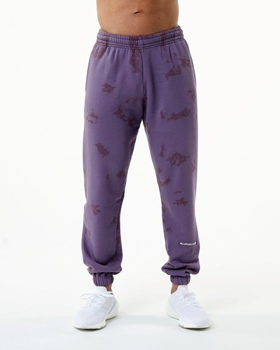 Alphalete Washed 31" Fleece Jogger Revolution | 9683-YXHVR